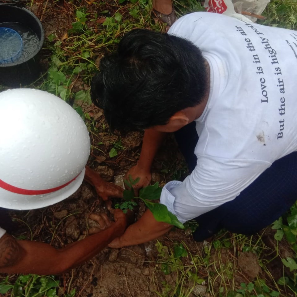 "Planting trees in Ward 7 on World Environment Day"